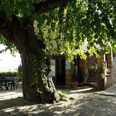 Mola Solis Hotel Civitella dʼAgliano Esterno foto