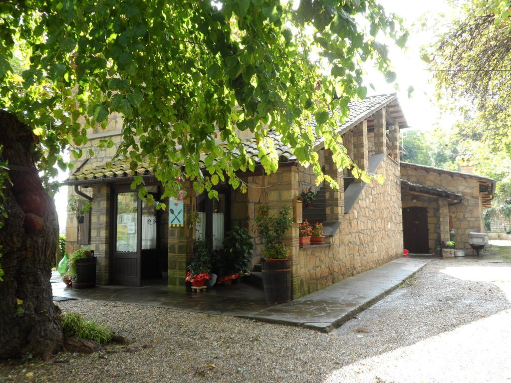 Mola Solis Hotel Civitella dʼAgliano Esterno foto