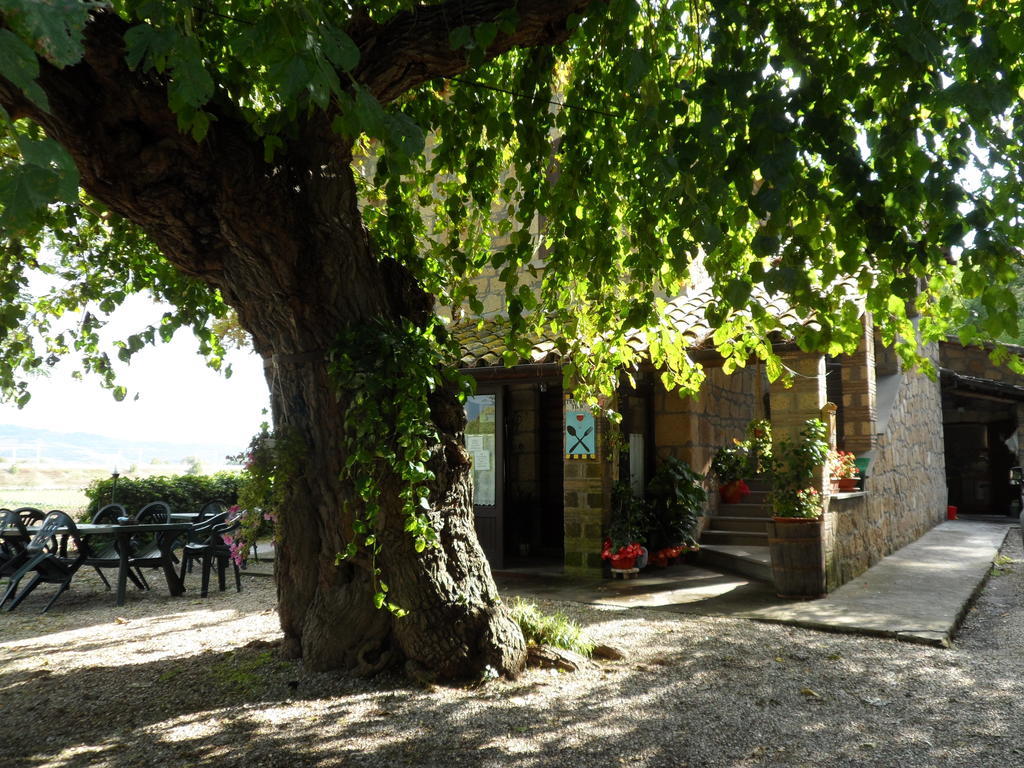 Mola Solis Hotel Civitella dʼAgliano Esterno foto