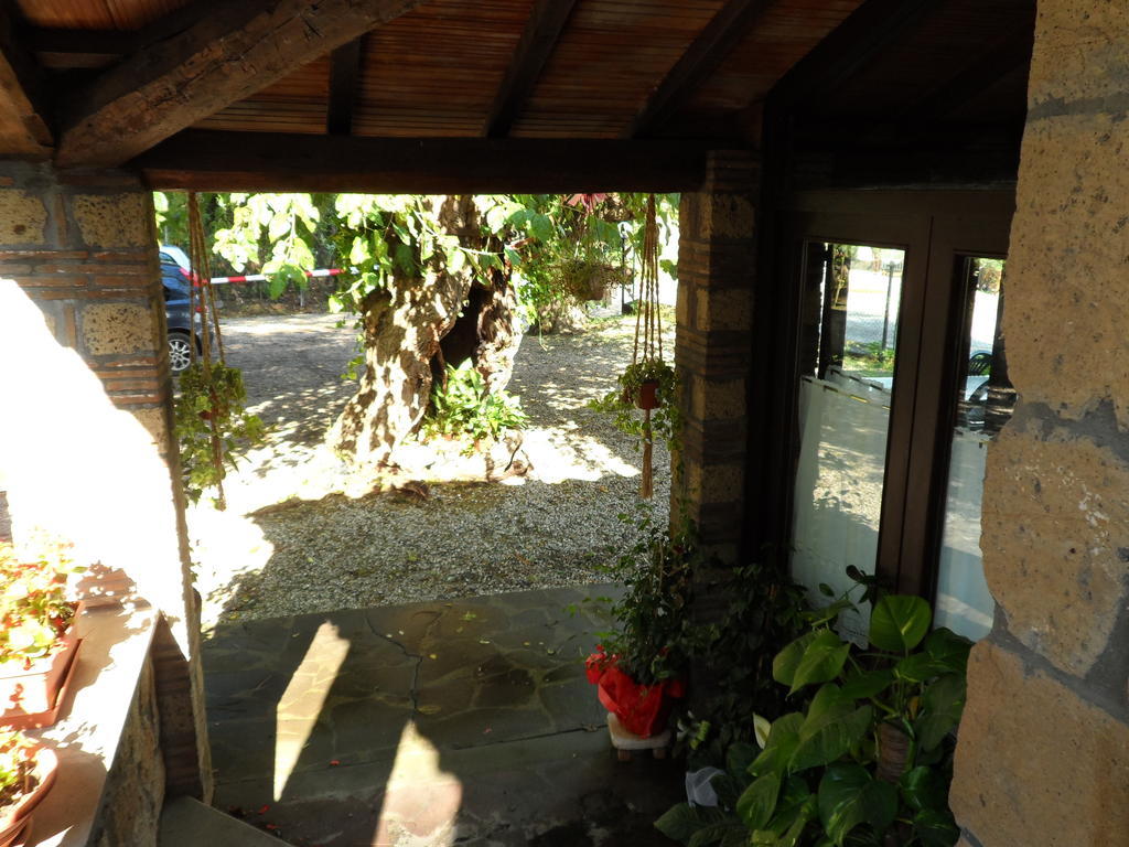 Mola Solis Hotel Civitella dʼAgliano Esterno foto