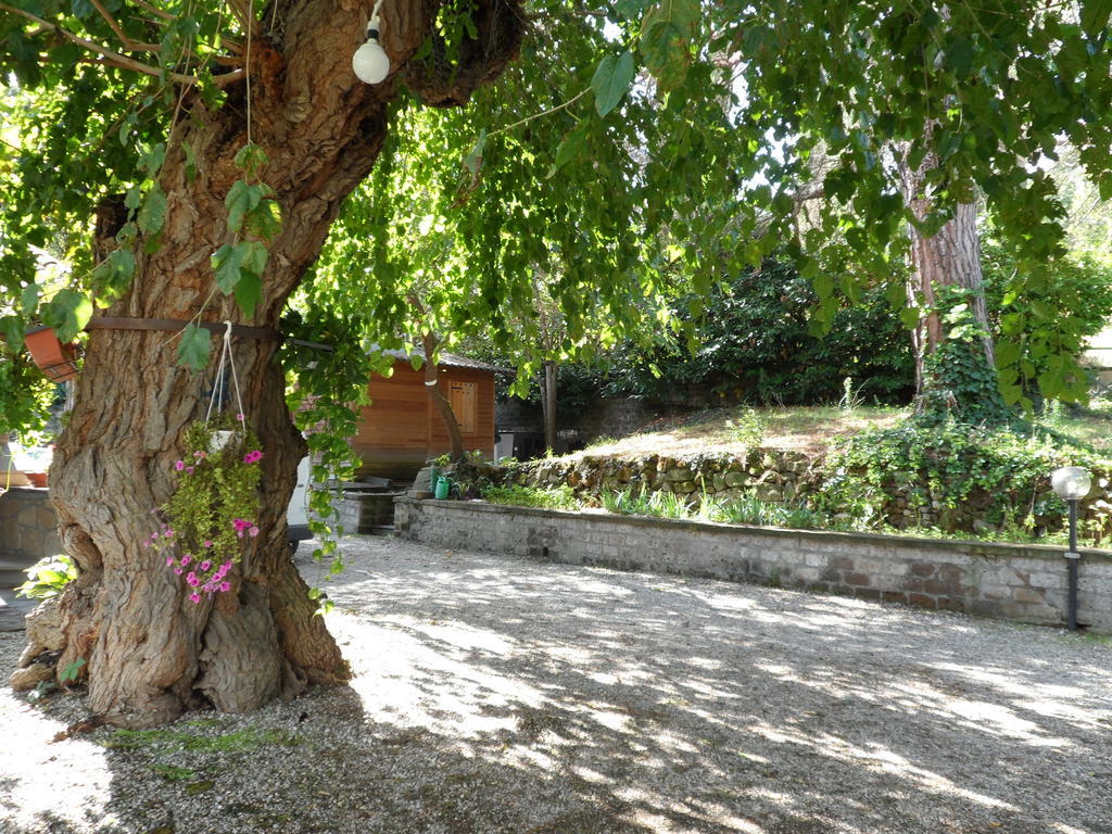 Mola Solis Hotel Civitella dʼAgliano Esterno foto